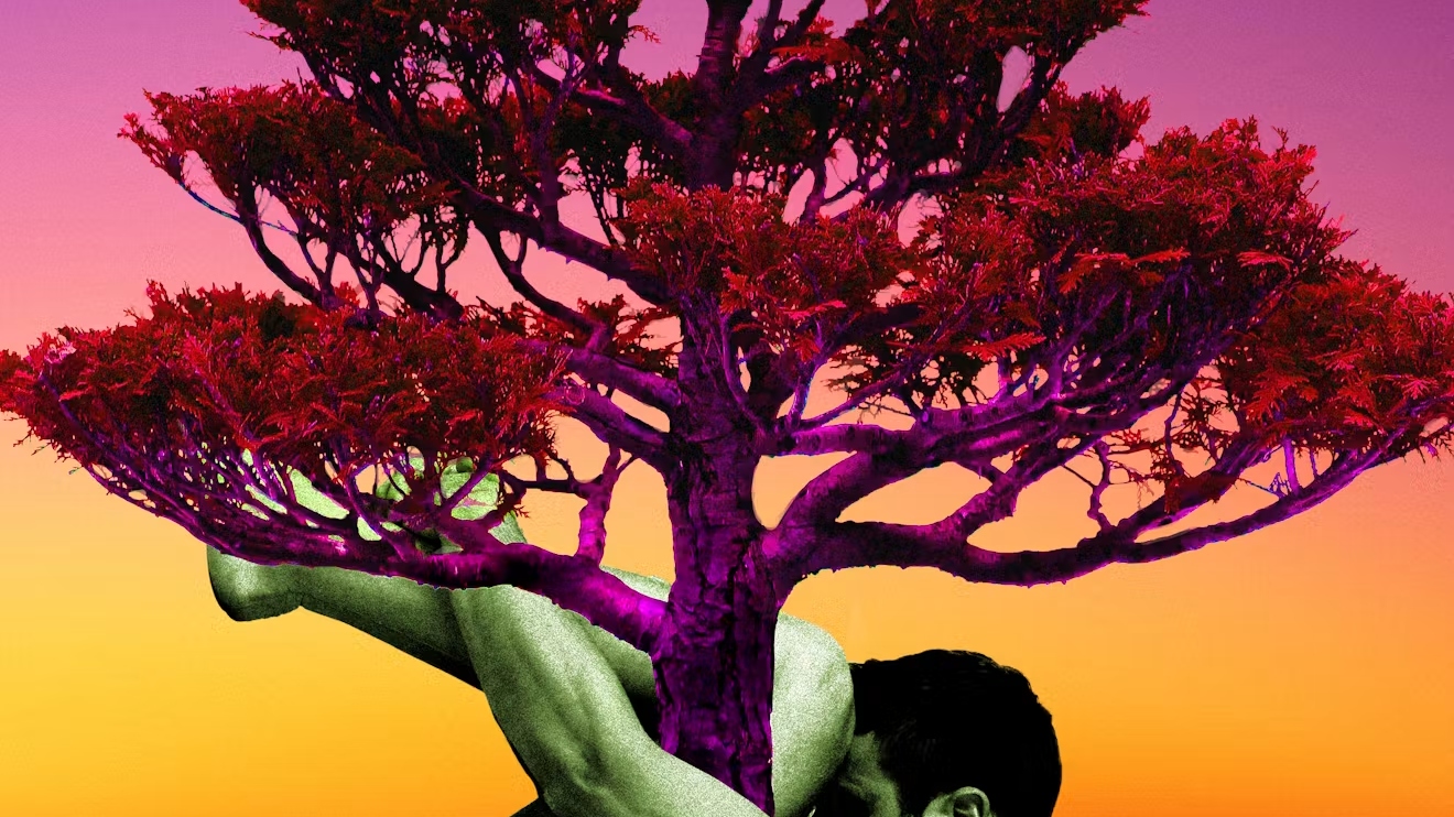 Transcend — Selected Press